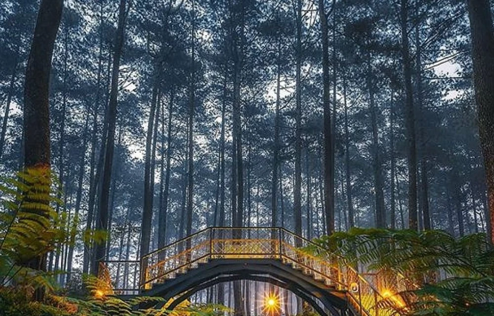 Orchid Forest Cikole in Lembang Pictures